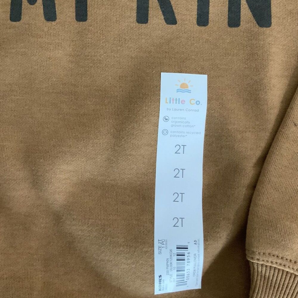 NWT!! Pumpkin Lightweight Sweatshirt Orange/Brown 2T - Picture 2 of 4